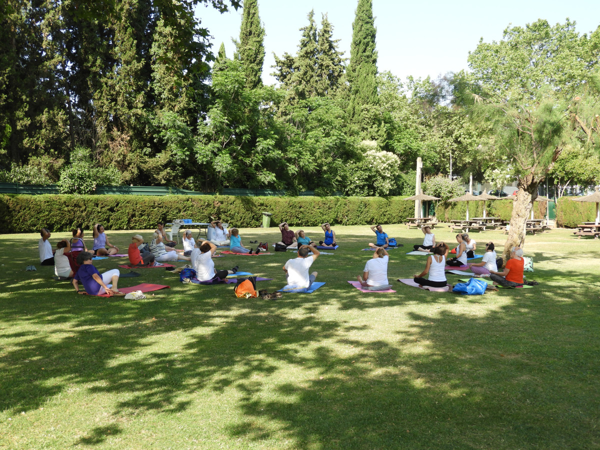 Calendari 2026. Portada