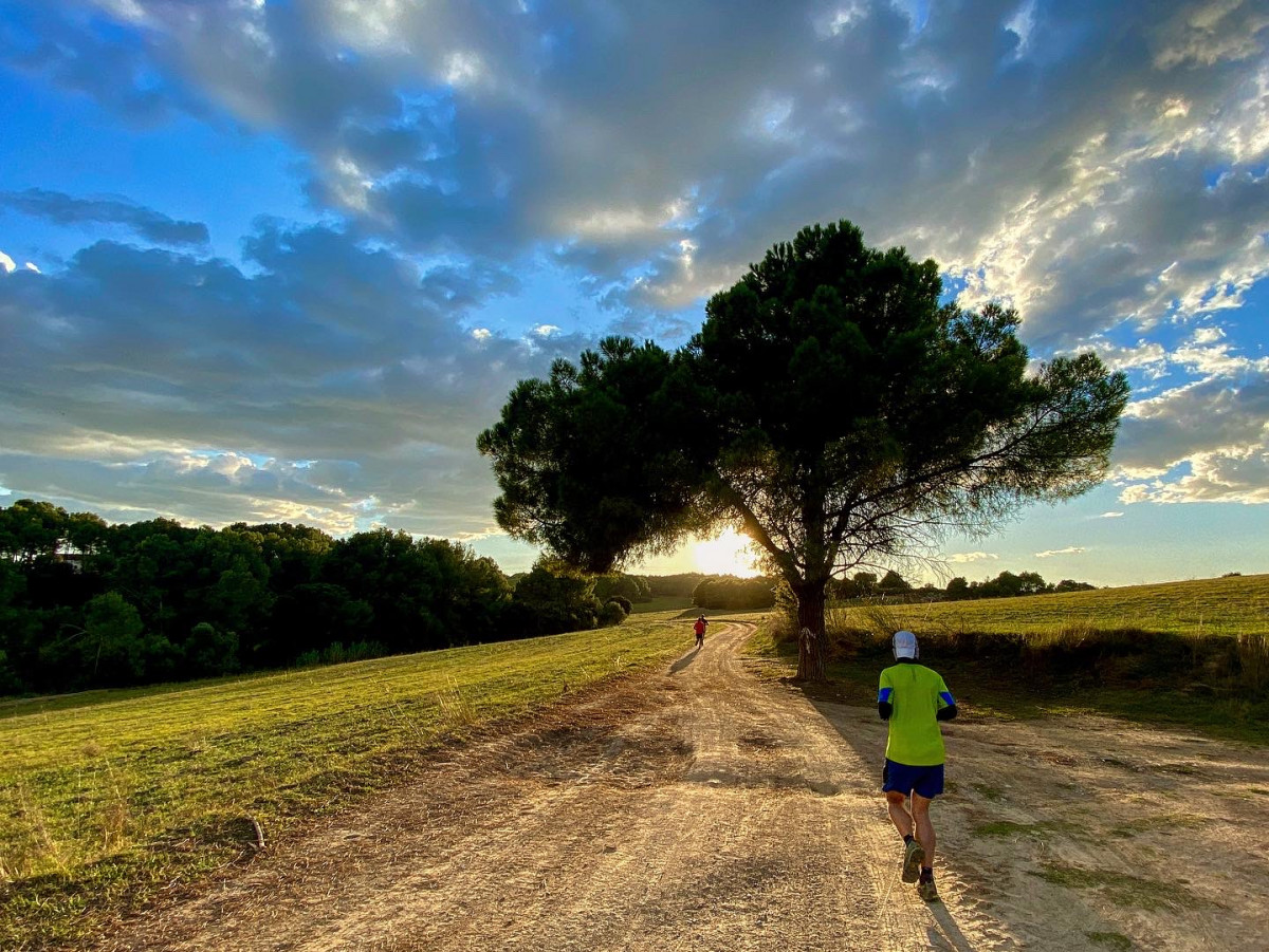 Novembre: Camí de Can Garrigosa