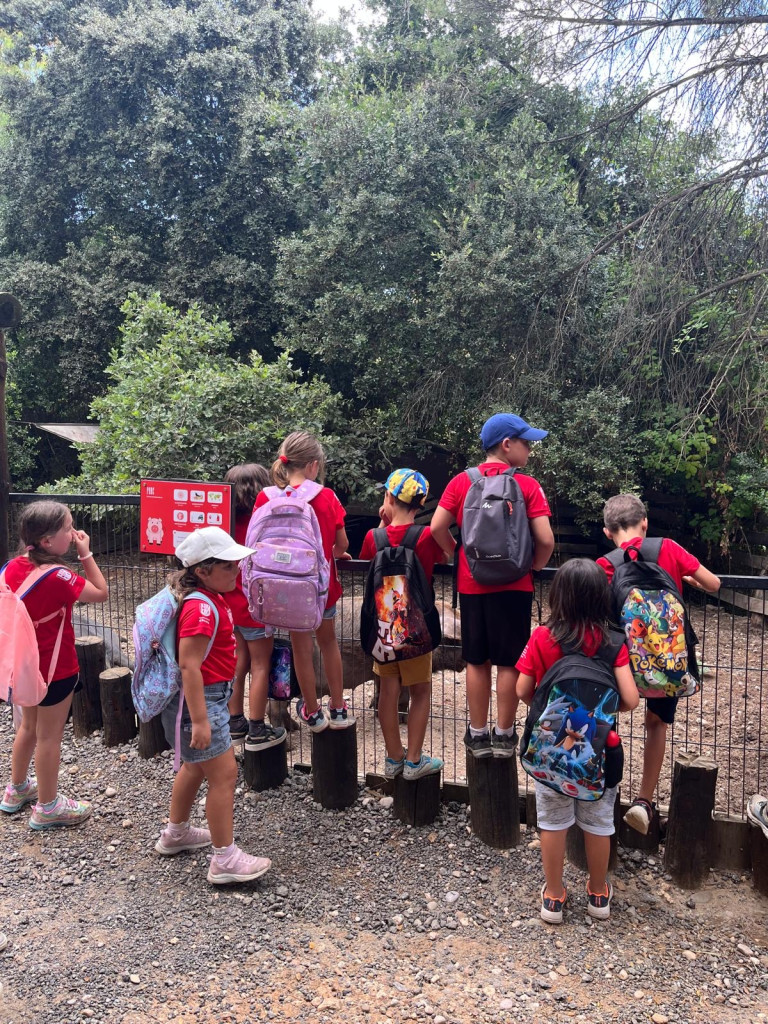 Cloem el Casal d'Estiu d'Abrera i l'Escola Esportiva d'Estiu