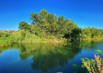 Febrer: Riu Llobregat