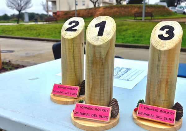 El barri de Santa Maria de Vilalba d'Abrera ha acollit el I Torneig Mölkky de Nadal del Suro