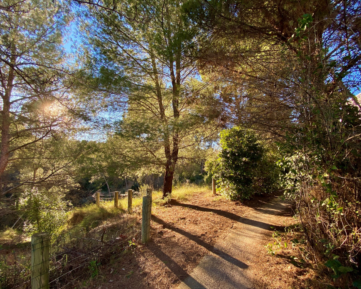 Abril: Camí del Torrent Gran