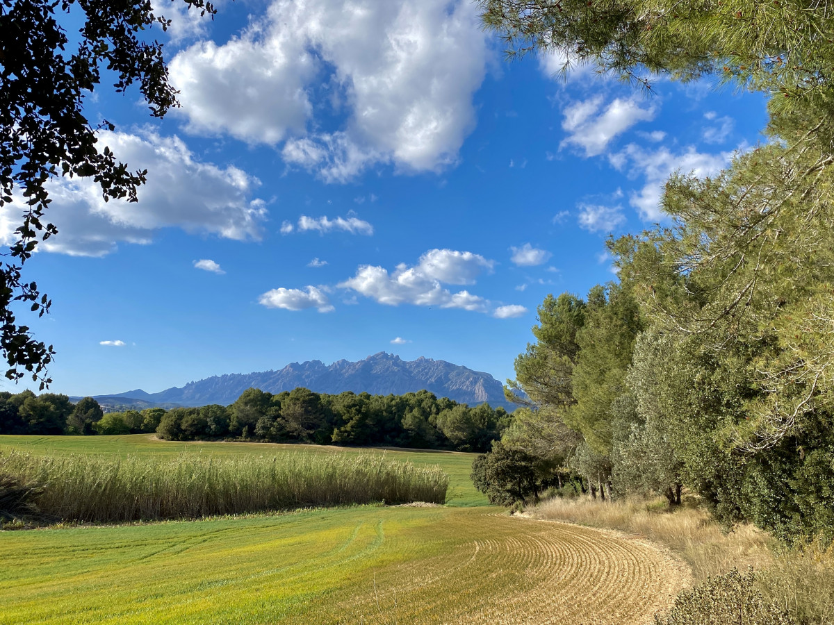 Agost: Camí de Can Garrigosa
