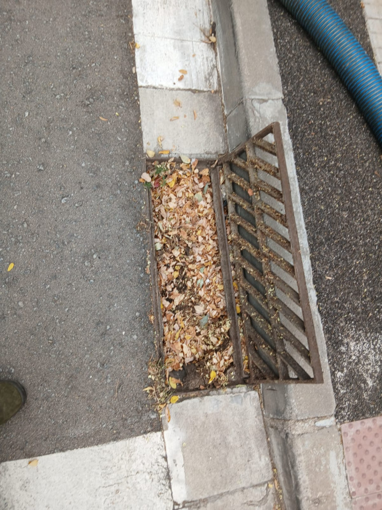 Durant aquest mes d'agost estem duent a terme treballs de neteja als embornals en diferents punts del nostre municipi