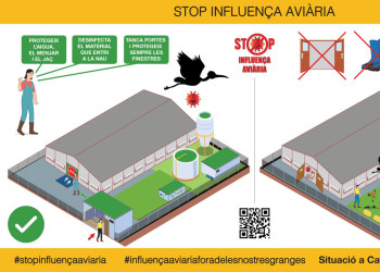 Des de l'Ajuntament d'Abrera fem difusió dels consells i mesures de prevenció davant la grip aviar