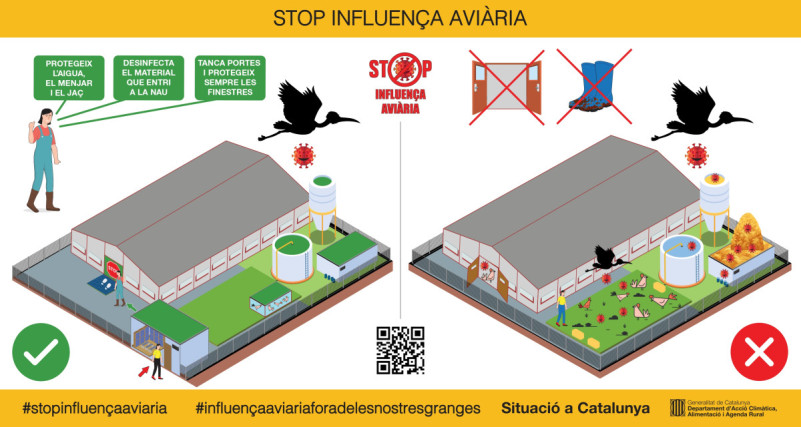 Des de l'Ajuntament d'Abrera fem difusió dels consells i mesures de prevenció davant la grip aviar