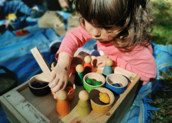 Calendari 2026. Contraportada