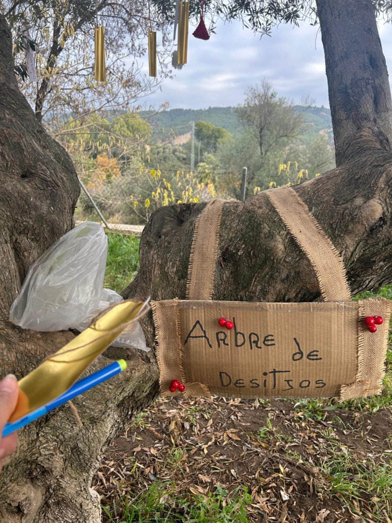 Tions de Nadal i Arbre dels desitjos de l'AAVV de Santa Maria de Vilalba