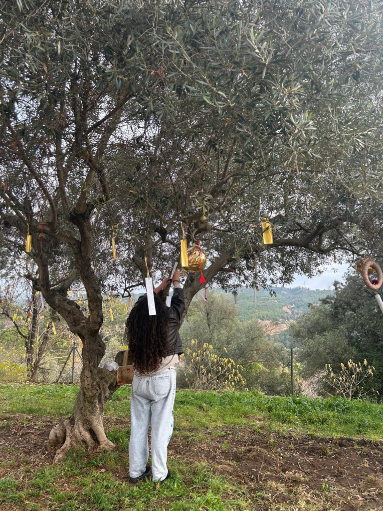Tions de Nadal i Arbre dels desitjos de l'AAVV de Santa Maria de Vilalba