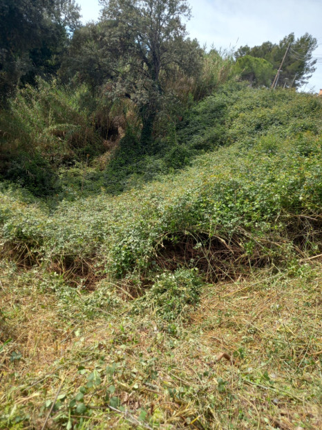 Iniciem un any més la campanya anual de manteniment de les franges perimetrals de seguretat contra incendis forestals