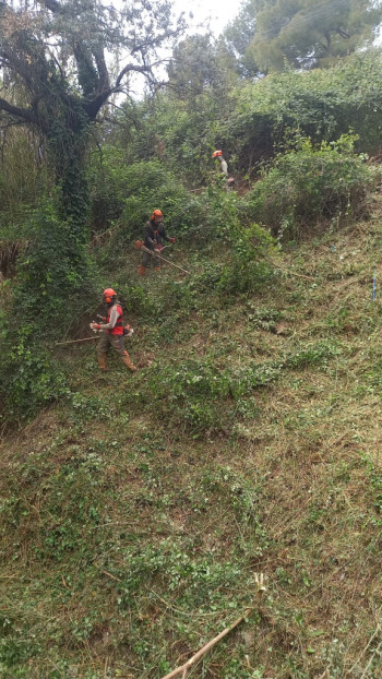 Iniciem un any més la campanya anual de manteniment de les franges perimetrals de seguretat contra incendis forestals
