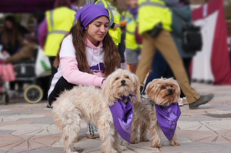 Calendari 2026. Novembre