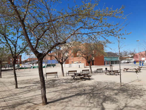 Espais Eco-Verds. El pati de tothom a l'Escola Ernest Lluch