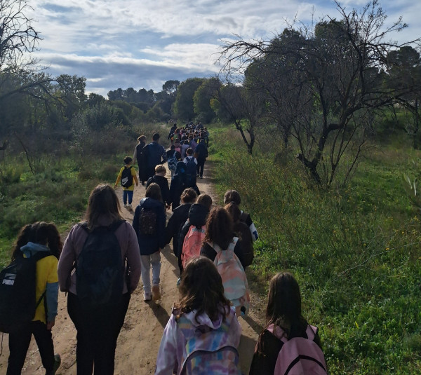 Caminada interescolar