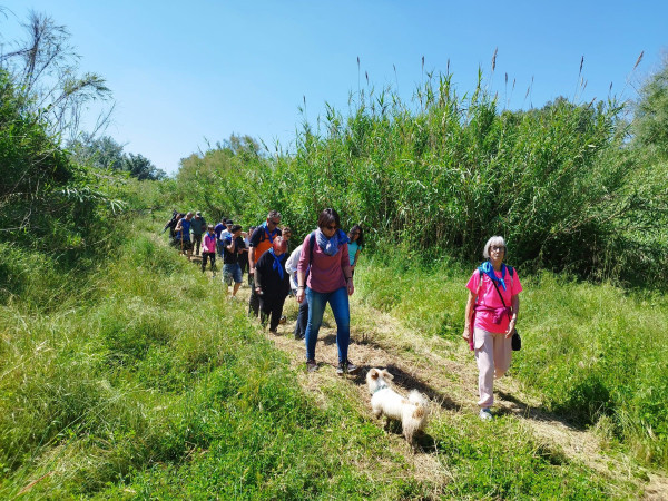 Abrera participa a la caminada Walking Rivers! Connectem amb el riu Llobregat