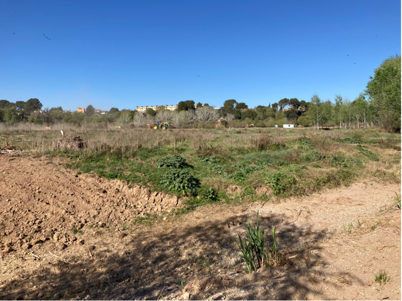 Visita d'obres de les mesures compensatòries pel nou col·lector de salmorres a la conca del riu Llobregat, al seu pas per Abrera