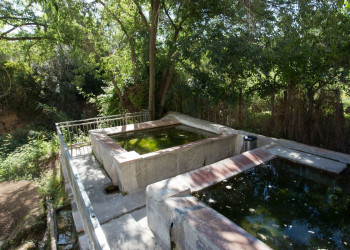 Font dels Peixos. Safareigs
