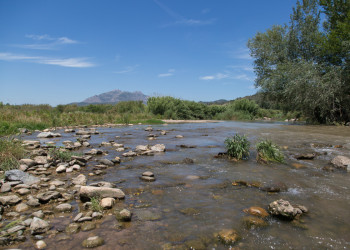 Riu Llobregat al seu pas per Abrera