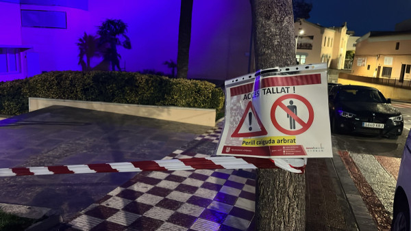 Balissament a la pl. de la Constitució amb perimetratge d'arbrat