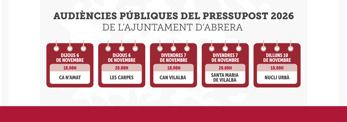 AUDIÈNCIES PÚBLIQUES DE PRESSUPOSTOS