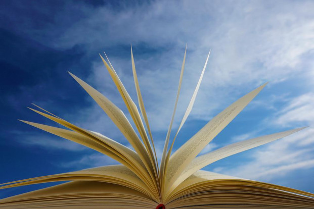llibre