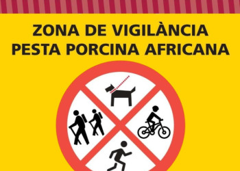 Mesures de control de la pesta porcina africana (PPA) a Abrera