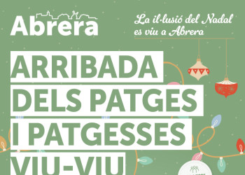 Dissabte 3 de gener. Arribada dels patges i patgesses Viu-Viu