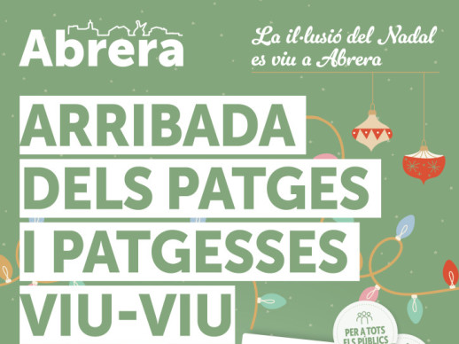 Dissabte 3 de gener. Arribada dels patges i patgesses Viu-Viu