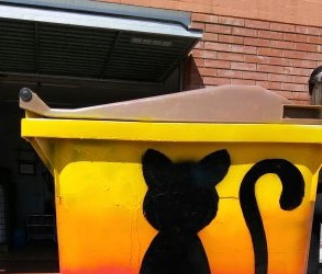 CatDonald
