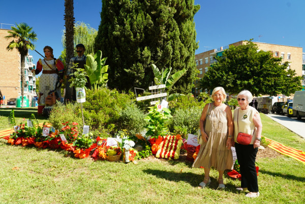 Ofrena floral al monument de Rafael Casanova. Parròquia de Sant Pere d'Abrera