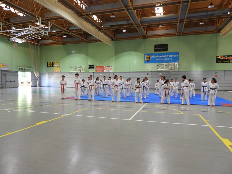 Cloenda de les activitats d’Educació Física, Preesportiva i Taekwondo del Servei d’Esports de l'Ajuntament d'Abrera