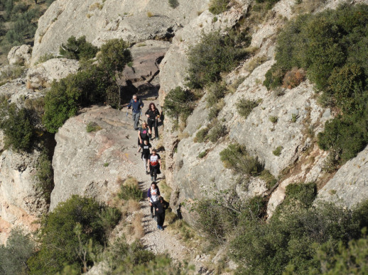 200 persones han gaudit de la XXII Caminada de Primavera Abrera-Montserrat, que ha tingut lloc aquest diumenge 16 d'abril