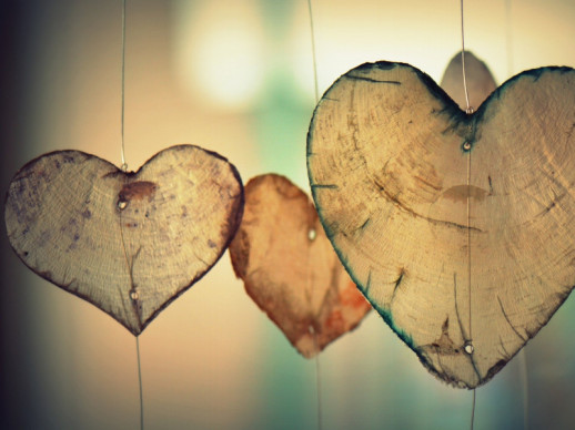 L'amor romàntic? Setmana de l’amor i el bon tracte. Imatge de Ben Kerckx en Pixabay