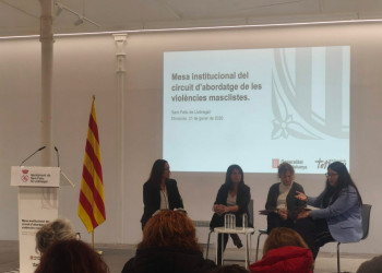 participem a la Mesa Institucional del circuit d’abordatge de les violències masclistes de la vegueria de Barcelona