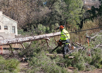 Des de l'Ajuntament d'Abrera estem duent a terme diverses actuacions pel fort vent a Abrera