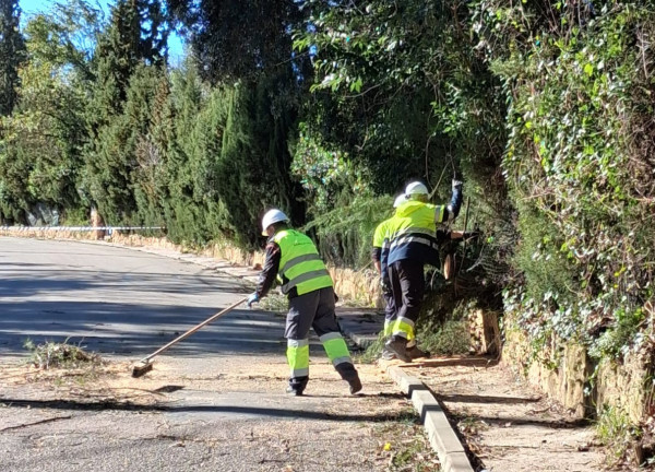 Des de l'Ajuntament d'Abrera estem duent a terme diverses actuacions pel fort vent a Abrera