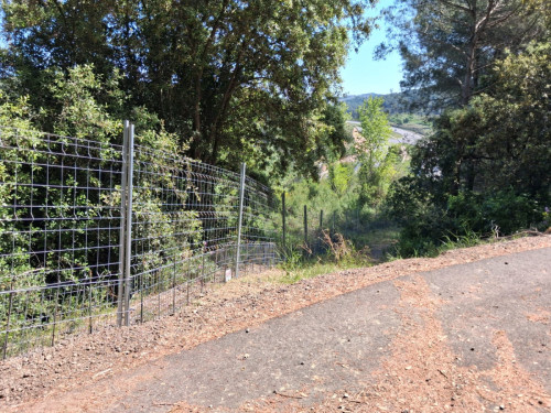 Reforç de la prevenció contra la pesta porcina africana a Abrera amb noves tanques per frenar el pas de senglars