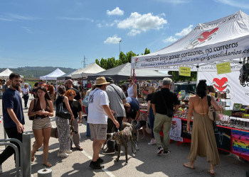 Abrera celebra amb èxit la primera Fira de Benestar Animal amb una gran acollida ciutadana