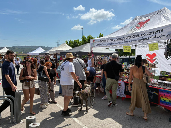 Abrera celebra amb èxit la primera Fira de Benestar Animal amb una gran acollida ciutadana