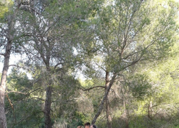 Els infants de l’Espai Galàxia i les seves famílies gaudeixen d’una caminada pel Camí de Sant Jaume amb l’Associació Naturalista d'Abrera Anda