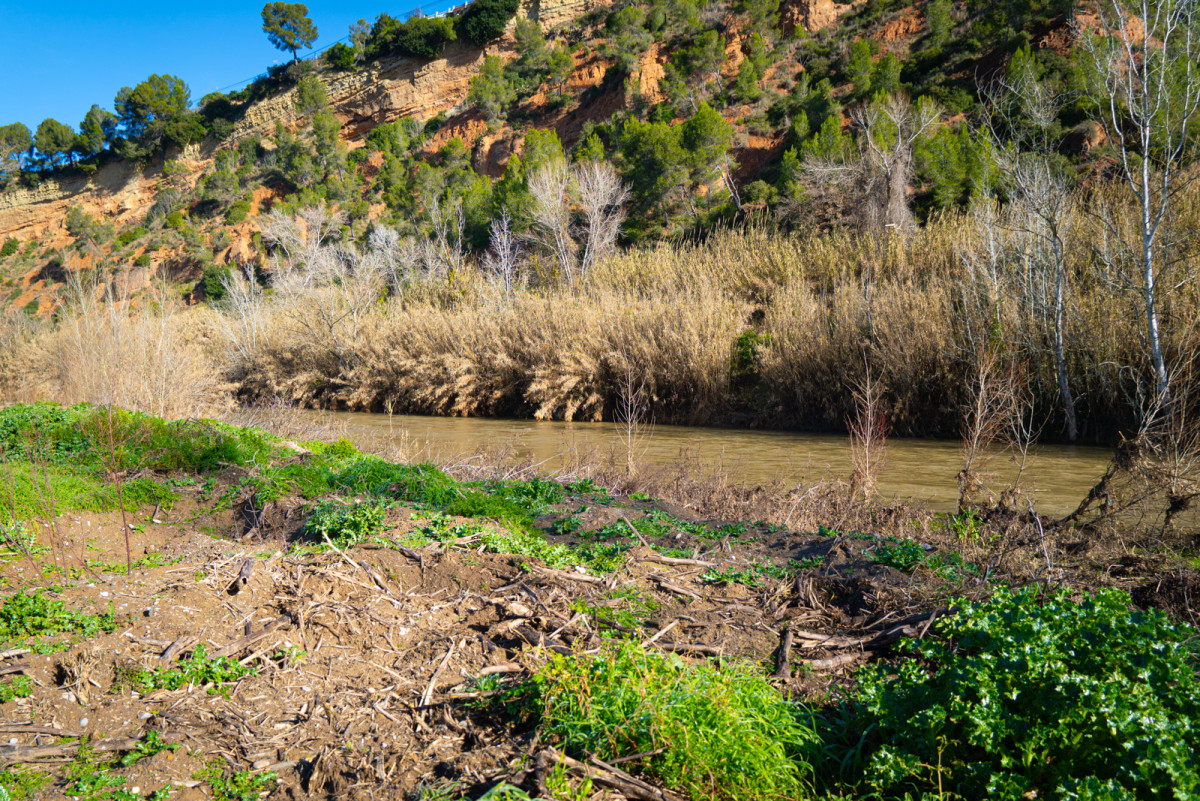 L’Ajuntament d’Abrera i l’ACA fem balanç de la restauració de l'entorn del riu Llobregat i reforcem la col·laboració de futur