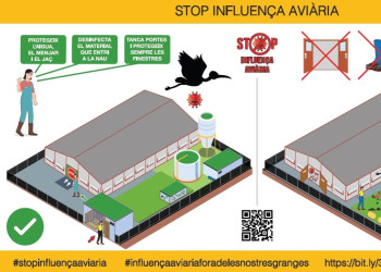 Mesures de prevenció davant la grip aviària - Infografia stop influença aviària