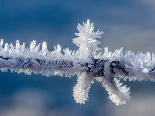 neu i fred