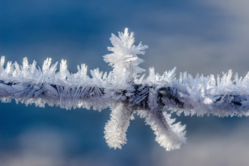 neu i fred.jpg