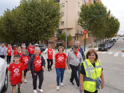 Gran èxit de participació i assistència a la 26a Caminada de la Gent Gran d'Abrera!