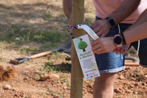 Arrela't a Abrera! Impulsem una jornada participativa de reforestació amb l'alumnat de l'Escola Francesc Platón i Sartí, l'empresa Sesé, Eulen i l'Associació Naturalista ANDA