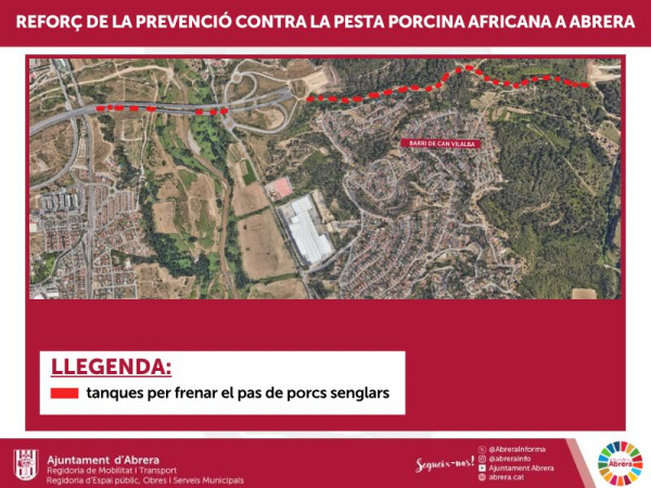 Reforç de la prevenció contra la pesta porcina africana a Abrera amb noves tanques per frenar el pas de porcs senglars