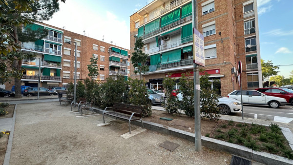 Des de l’Ajuntament d’Abrera realitzem la plantació d'arbres com una mesura fonamental per a promoure la sostenibilitat ambiental, avançar en els ODS i crear refugis climàtics