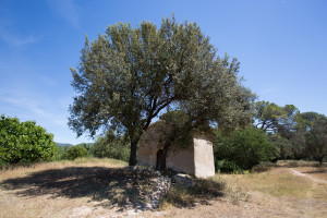 Sant Hilari.jpg