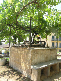 Sínia Cal Barnet.jpg